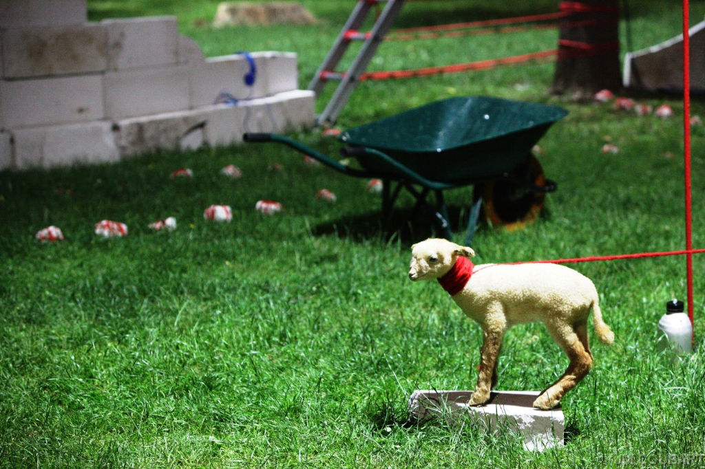 Diapositive suivante